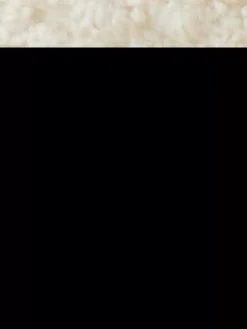 TEDDY BOMBER-Scotch & Soda Discount